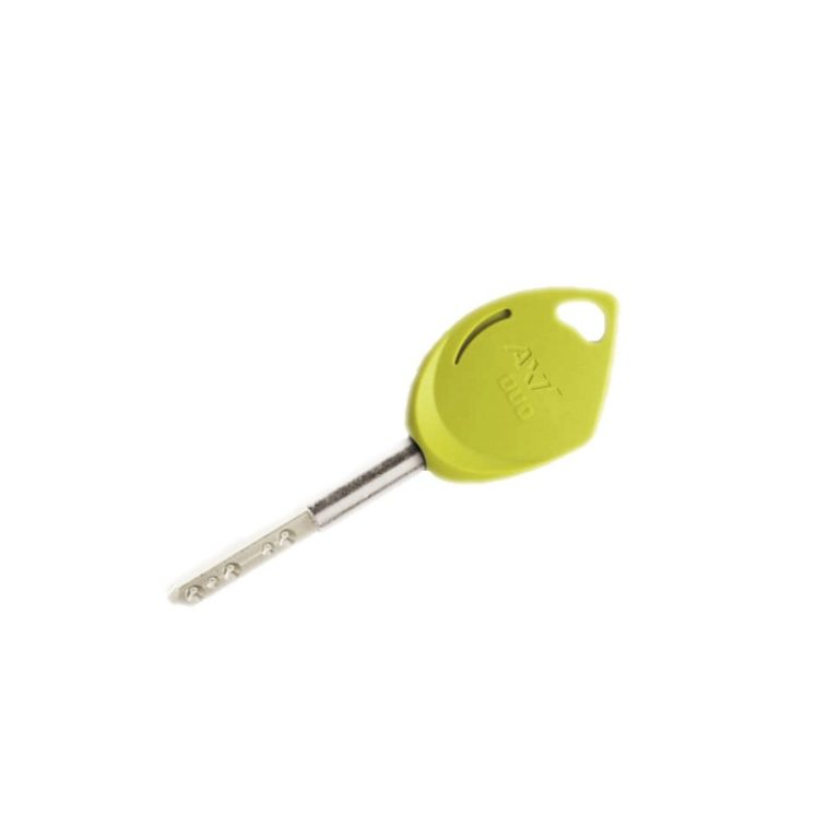 Vachette Axi Home Duo : la clé pour un accès protégé